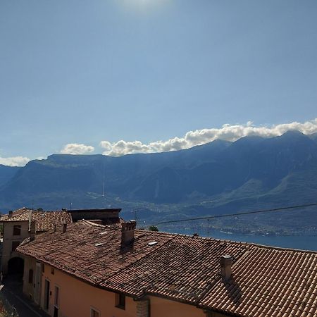 Ulivi Sul Garda Garden By Gardadomusmea Apartment Tremosine Exterior photo