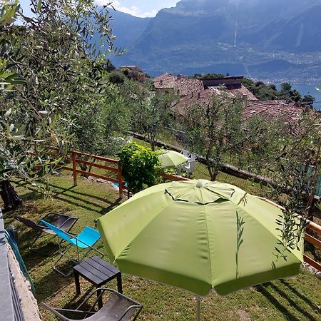 Ulivi Sul Garda Garden By Gardadomusmea Apartment Tremosine Exterior photo
