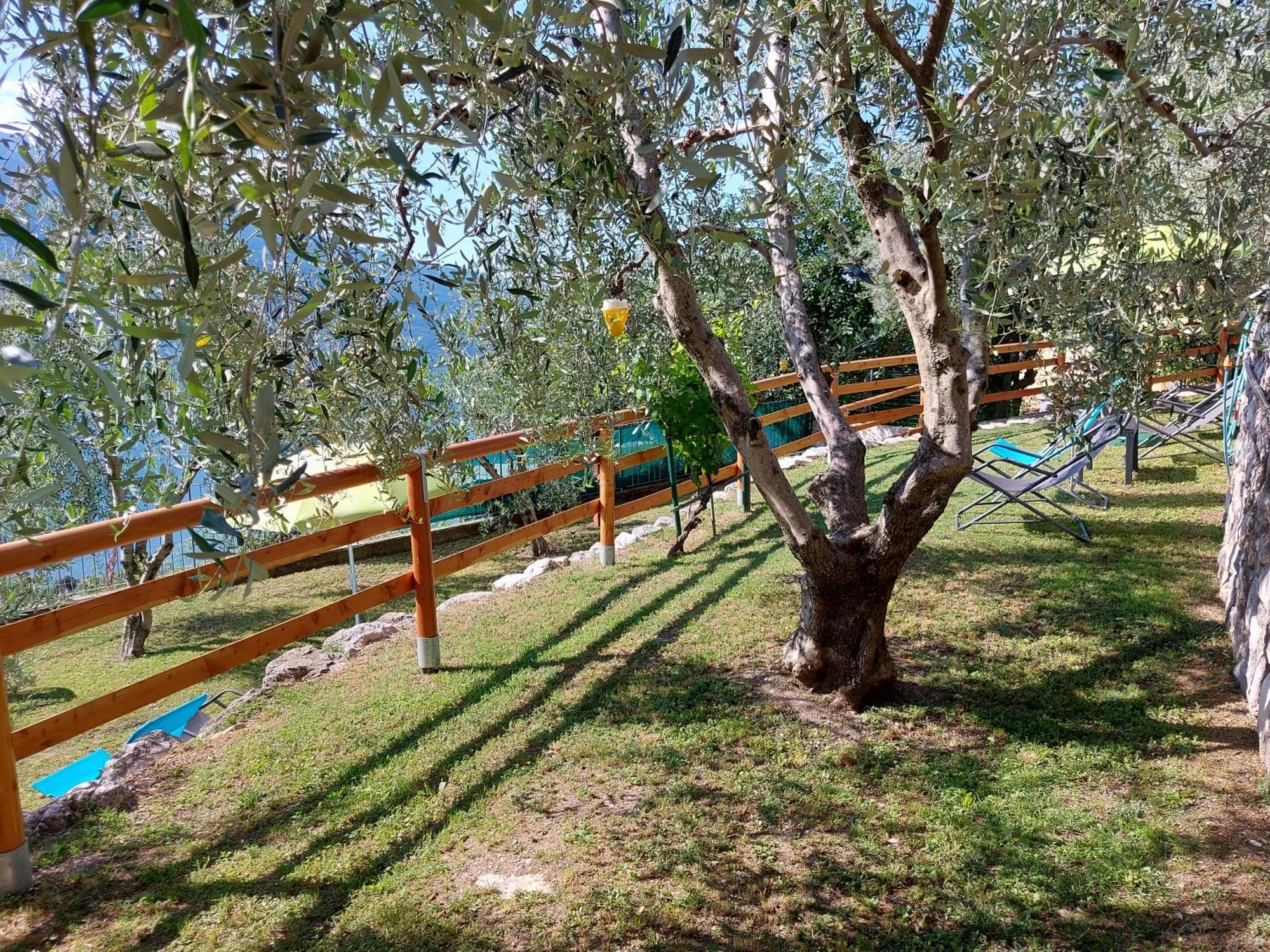 Ulivi Sul Garda Garden By Gardadomusmea Apartment Tremosine Exterior photo