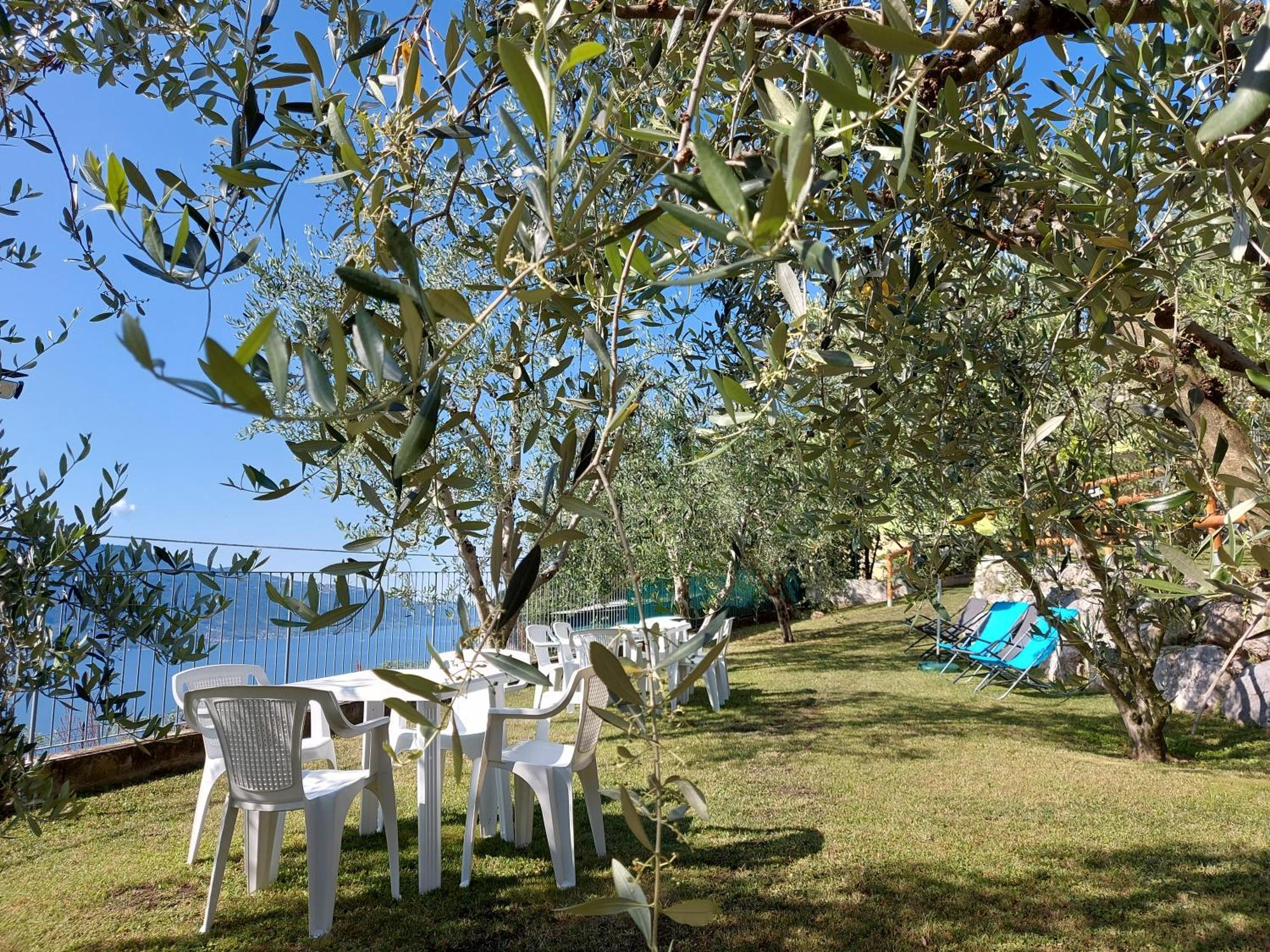 Ulivi Sul Garda Garden By Gardadomusmea Apartment Tremosine Exterior photo
