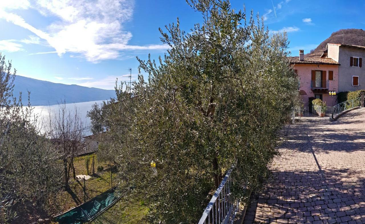 Ulivi Sul Garda Garden By Gardadomusmea Apartment Tremosine Exterior photo
