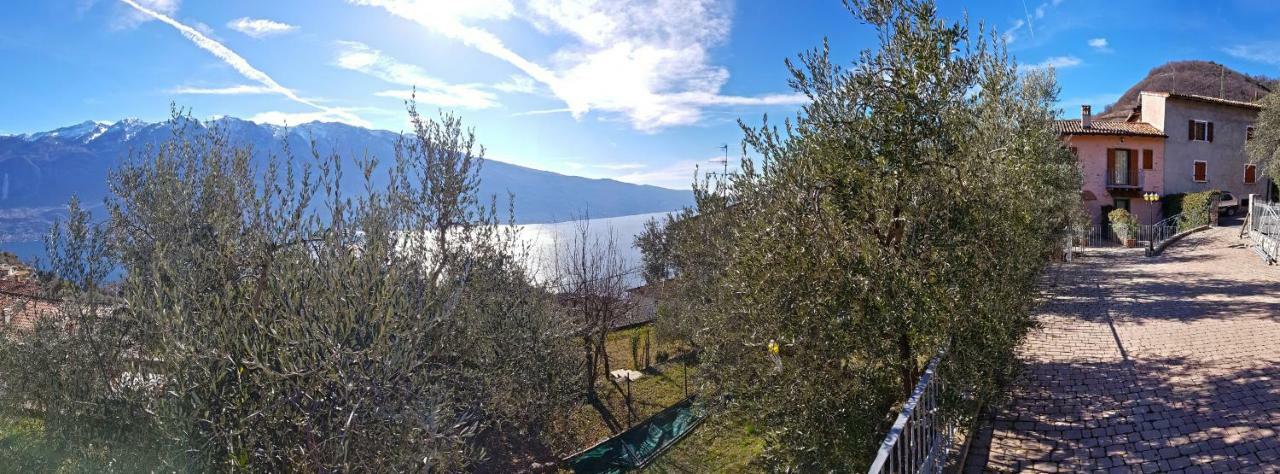 Ulivi Sul Garda Garden By Gardadomusmea Apartment Tremosine Exterior photo