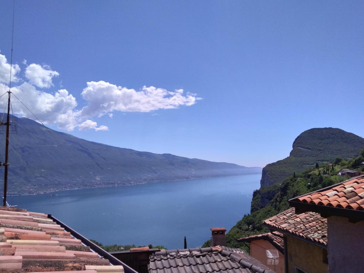 Ulivi Sul Garda Garden By Gardadomusmea Apartment Tremosine Exterior photo